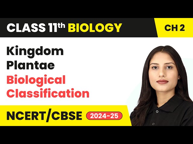Kingdom Plantae - Biological Classification | Class 11 Biology Chapter 2 | CBSE 2024-25