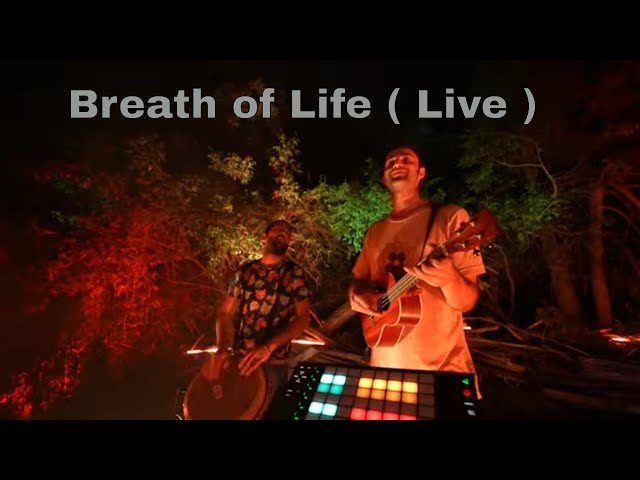 Breath of Life Live Outdoor Performance - Sina Bathaie