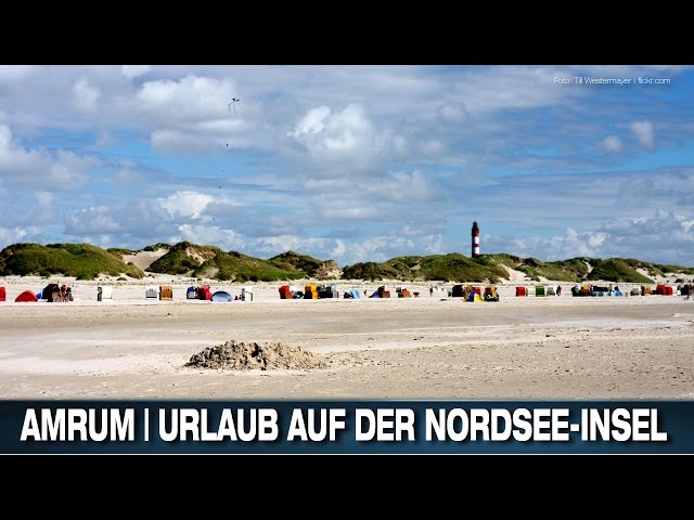 AMRUM | URLAUB AUF DER NORDSEE-INSEL