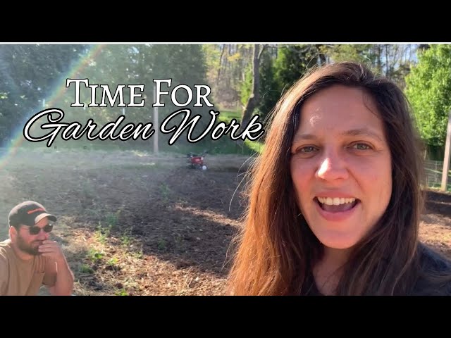The Dogwoods Are Blooming | Homestead Vlog | April 19, 2024