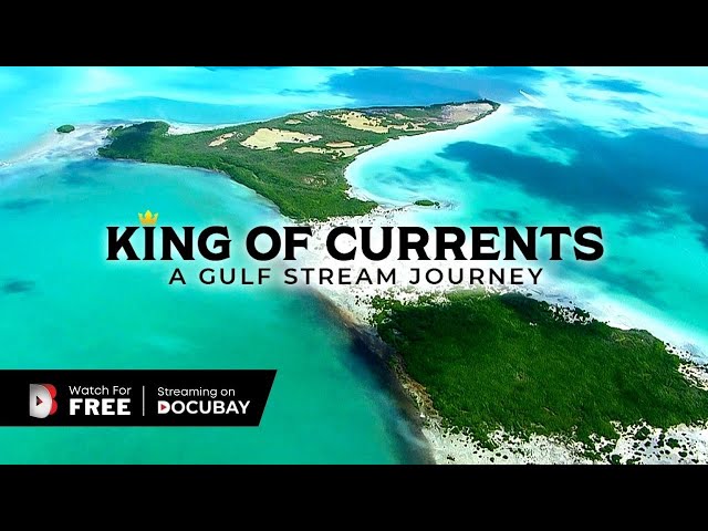 King of Currents - A Gulf Stream Journey | Discover The World's Quickest Surface Ocean Current!