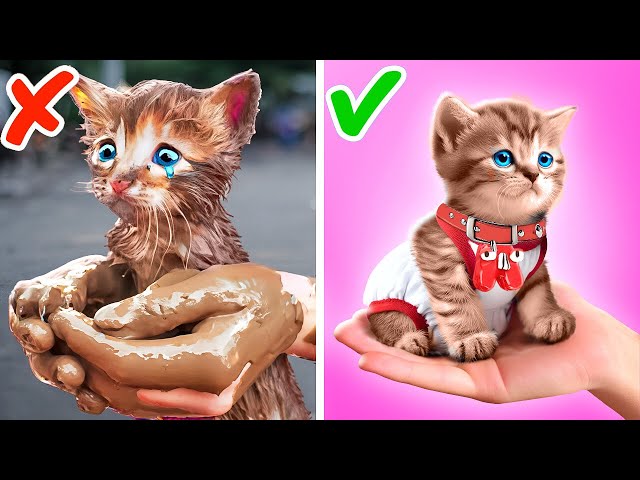 Alphabet Lore Saved My Kitten😻 *Cool Crafts And DIYs By My Cat*