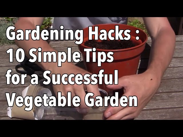 Gardening Hacks - 10 Simple Tips for a Successful Vegetable Garden