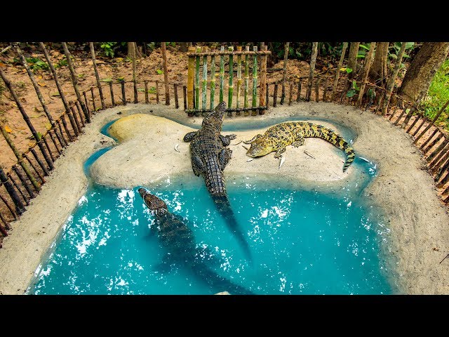 Build Crocodile Pond and Feeding Wild Crocodile