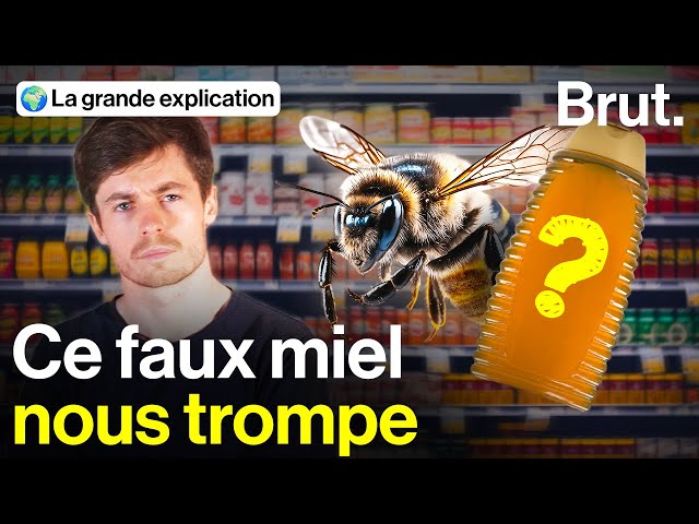 Pourquoi ces "miels" indignent les apiculteurs français