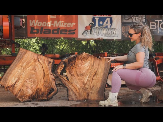 Look At All That Figure | Beautiful Camphor Slabs