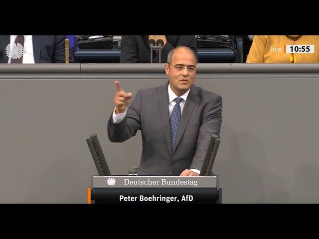 Boehringer: „Knallharter Einkauf linker Meinung durch Bundesregierung“ | Bundestag 29.11.19