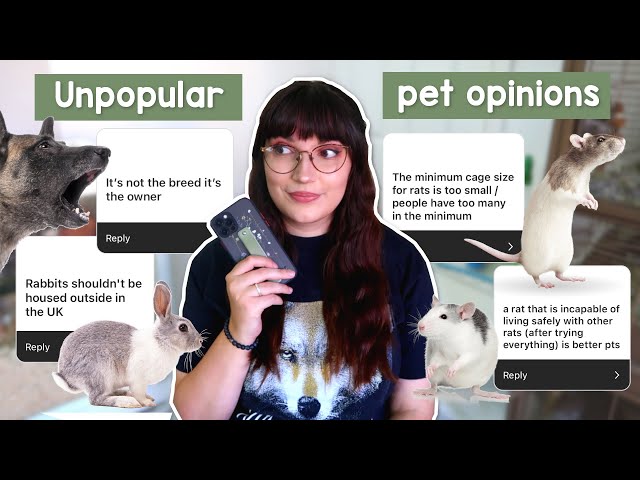 Reacting to your unpopular pet care opinions!