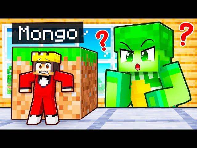 GIANT vs TINY Minecraft Hide and Seek!