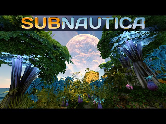 Subnautica 2.0 04 | Sie lebten ganz alleine auf der Trauminsel | Gameplay