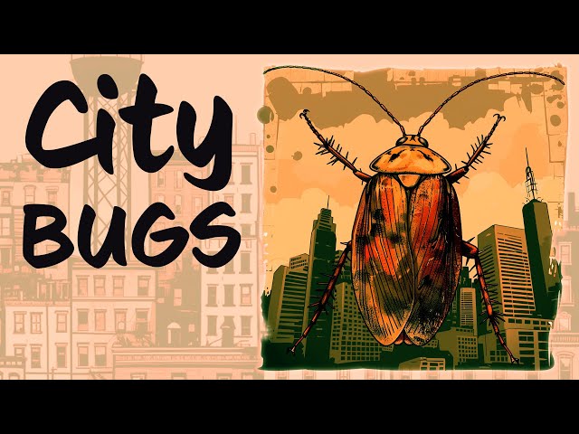 City Bugs are your secret neighbors 🐜🦗 bonus DOWNLOADS