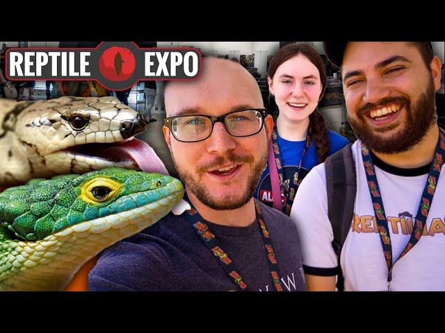 Discovering RARE Reptiles at a HUGE Reptile Expo 2021 | Reptile YouTuber Collab Vlog!
