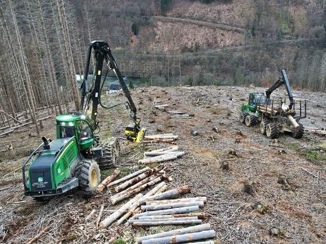 🌲4K| John Deere 1470G & 1110E im Sturm & Käferholz • Harvester & Forwarder Action • Forst Zobel🌲
