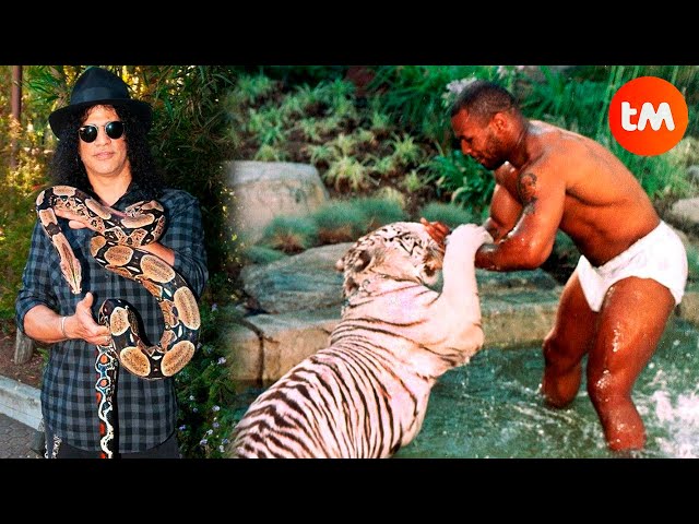 10 CELEBRITIES With EXOTIC PETS