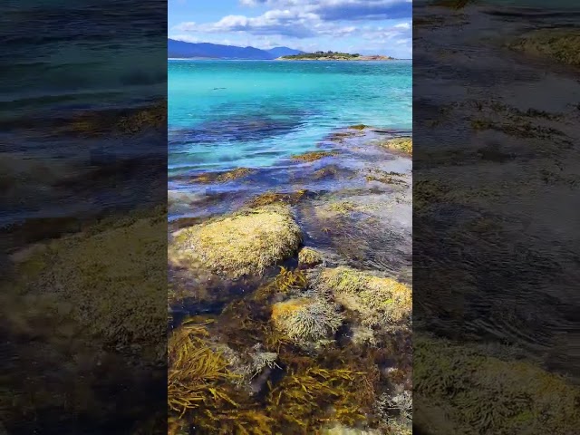 Tasmania's Jaw-Dropping Coastal Views Unveiled