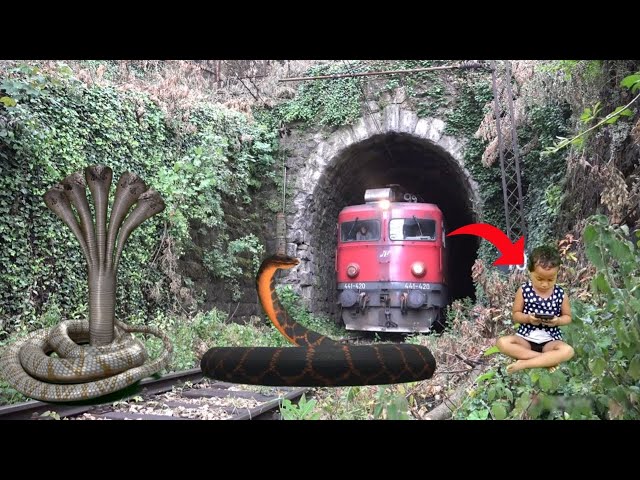 5 September | Five Head Snake & Anaconda Stops The Train To Save Baby And Escapes In Train Simulator