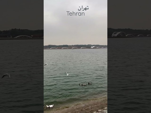 Tehran lake chitgar تهران دریاچه چیتگر روزهای پایانی اسفند و بهاری که نزدیکه