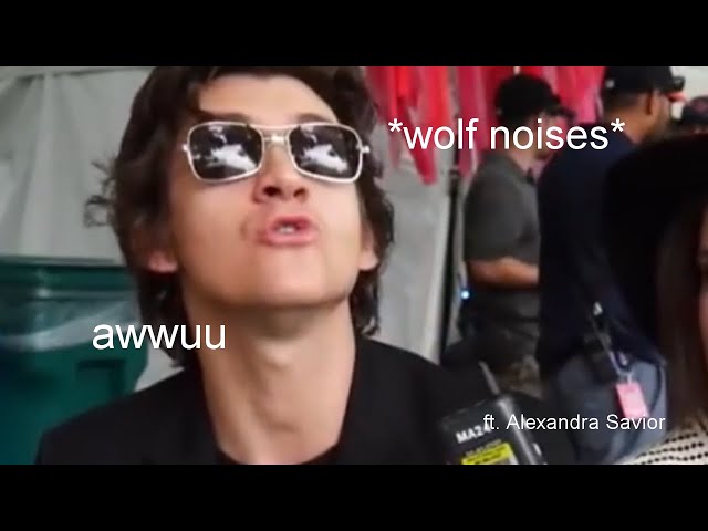 "well im alex from the last shadow puppets and i play the awuuu" but with a twist