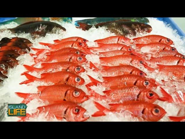 Suisan Fish Market provides fresh seafood and gives back to the community | ISLAND LIFE