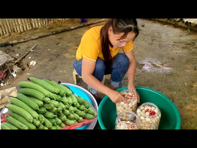 Harvesting luffa and bringin it to the market to sell:how to make pickled eggplant with garlic,chili