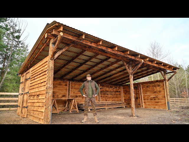 2 Months of Building a LARGE LOG SHED From Start to Finish Alone | My Own Forest Farm - Ep.7
