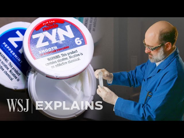 The Rise of Zyn: The Oral Nicotine Pouch Going Viral | WSJ
