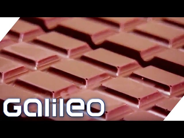 Edelschokolade vs. Discounterprodukt | Galileo | ProSieben