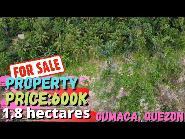 #20 Gumaca, Quezon Pro. Property for Sale | price 600k 1.8 hectares