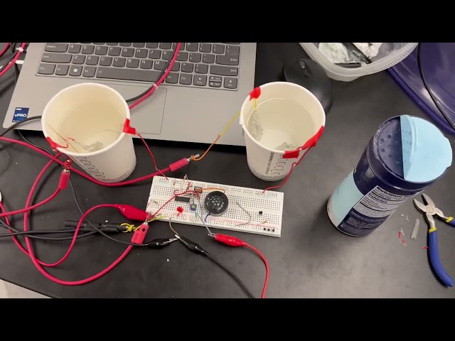 Final Project Embedded Systems : Water Safety Testing