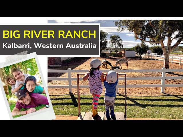Big River Ranch | Pony Rides | Horse Riding | Kalbarri Accommodation (Western Australia with Kids)