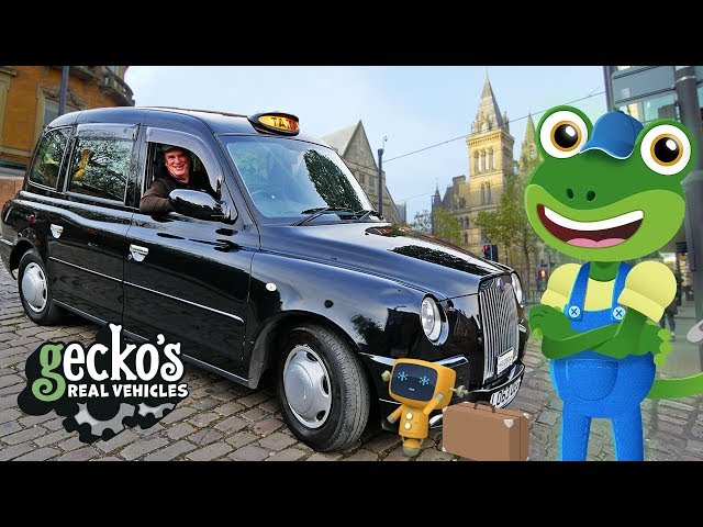 Gecko's TAXI Adventure! | Taxi For Kids | Gecko's Real Vehicles | Cars For Children | Learning Video