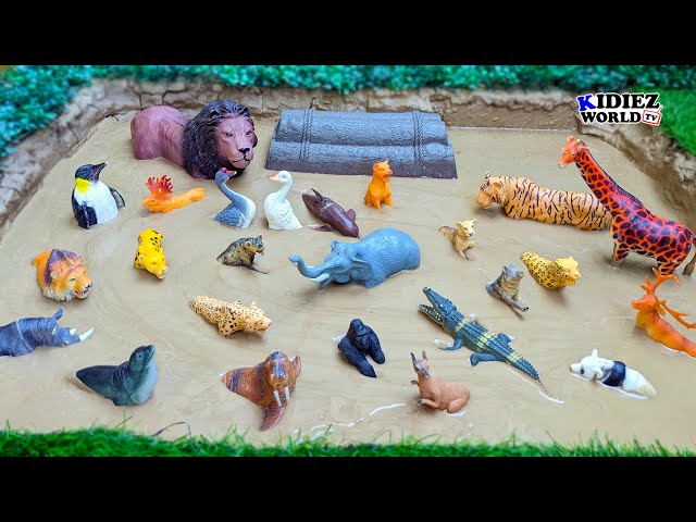 Muddy Adventures: Learn Zoo Animals for Kids Names & Sounds | Fun Learning for Kids