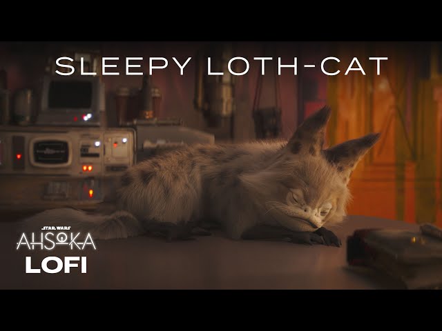 Sabine’s Loth-Cat | Star Wars Lofi | #Ahsoka
