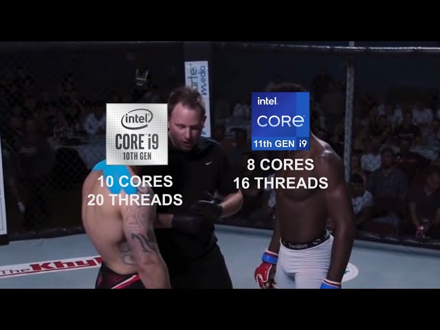 INTEL 11th Gen CPU Performance in a Nutshell