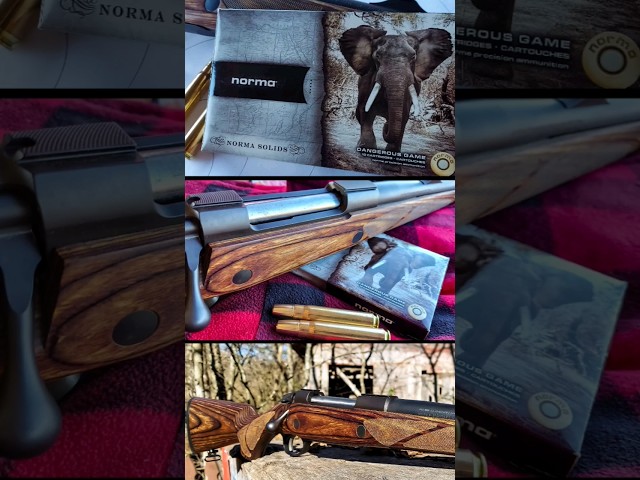 Super Powerful Elephant Rifle!!! 🐘🐘🐘