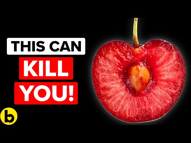 Why You Should Never Try These 11 POPULAR Foods! - They Can KILL You!