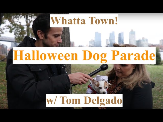 Whatta Town! - Halloween Dog Parade