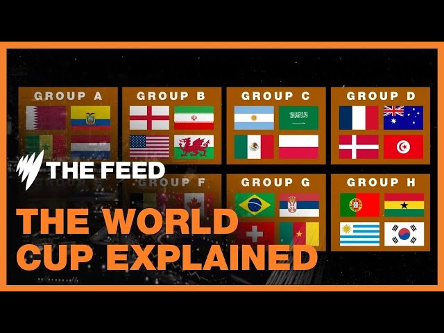 Five things you need to know about the 2022 FIFA World Cup  | Explainer | SBS The Feed
