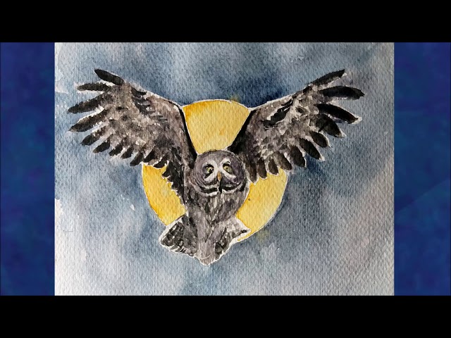 Owl Totem/ Owl Power Animal / Spirit Meaning of Owl