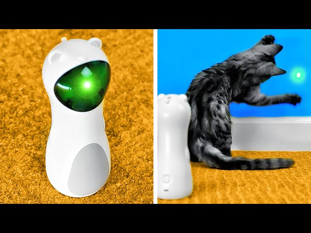 Tolle Gadgets und Hacks für deine süßen Haustiere