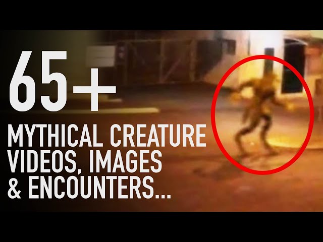65+ Mythical Creature Encounters, Videos & Photographs | HUGE Mythological Creatures Compilation