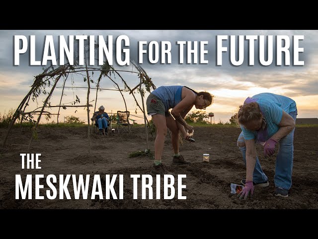 Planting for the Future: The Meskwaki Tribe