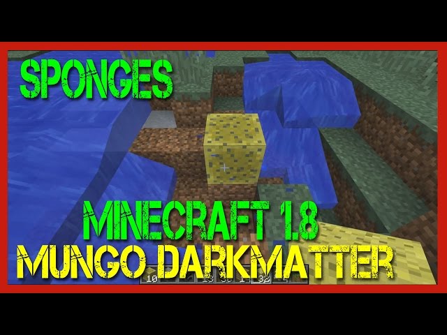 Minecraft  -  How to Use Sponges in Minecraft