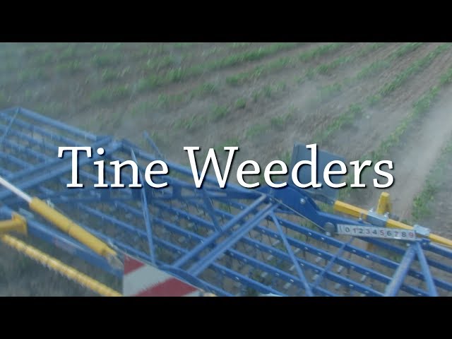 Tine Weeders - Organic Weed Control
