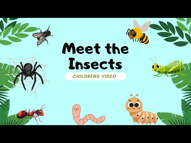 Amazing Insect Facts, for Kids!!!