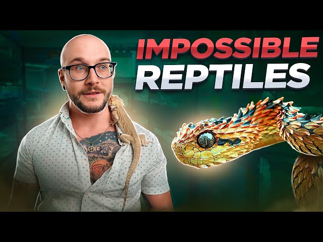 The 5 LEAST Handleable Pet Reptiles THAT WILL BITE YOU!