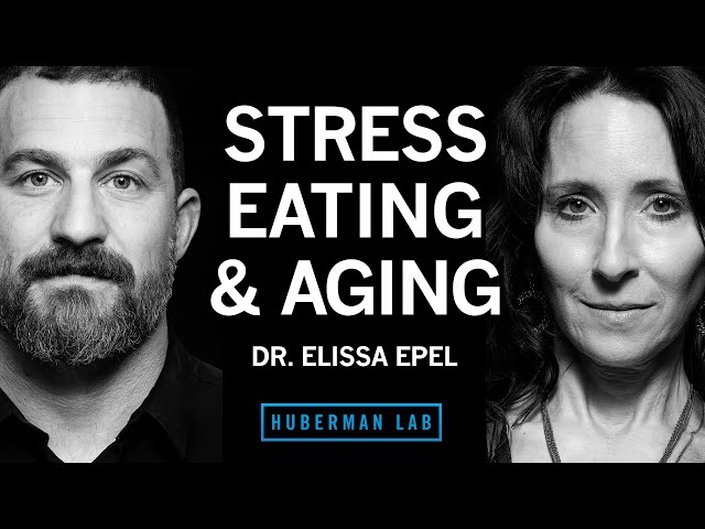 Dr. Elissa Epel: Control Stress for Healthy Eating, Metabolism & Aging | Huberman Lab Podcast