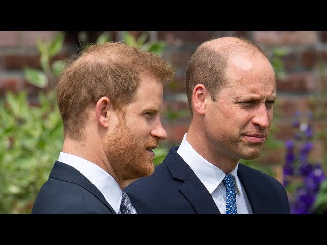 Eagle-Eyed Fans Believe William's Nod To Harry Changes Things