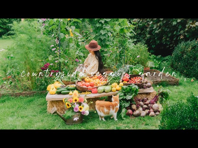 #121 | One year of growing a Vegetable Garden in my backyard | Satisfying Harvest | Countryside Life