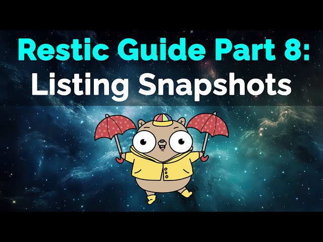 Restic Guide Part 8: Listing Snapshots